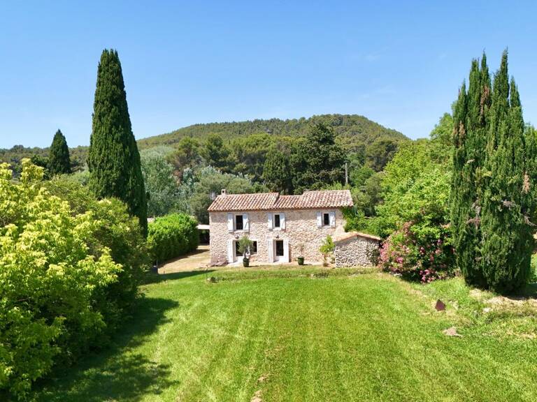MAS PROVENÇAL ET DEPENDANCE DANS UN ECRUN DE VERDURE — photo 1