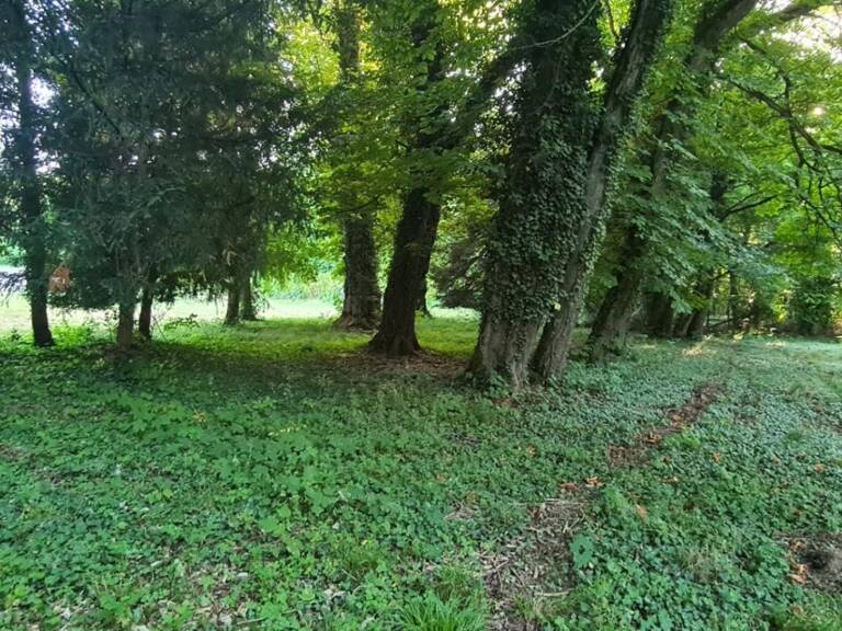 20 MINUTES DE DIJON - RARE A LA VENTE - TERRAIN DE 1HA15ARES ET 45CA — photo 1