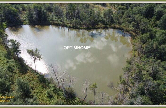 propriété forestière de 53 hectares – Sans voisinage ni nuisances — photo 3