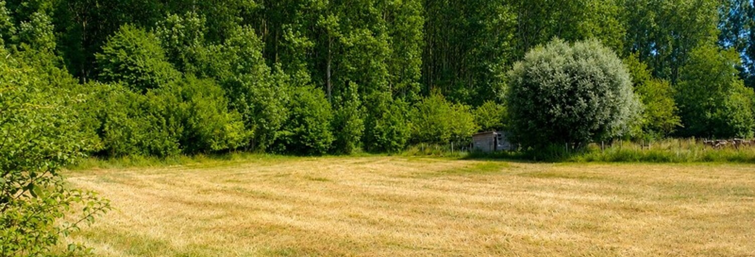 Terrain  3069 m² à vendre à Roquetoire (62120)