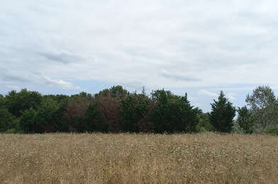 Terrain  35870 €