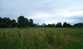 Terrain  2500 m² à vendre à Saint-Michel-de-Double (24400)
