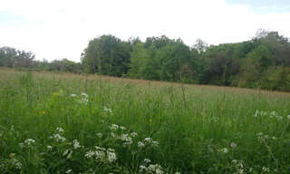 Terrain  3700 m² à vendre à Chantérac (24190)