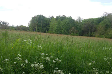 Terrain  33500 €