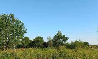Terrain  5174 m² à vendre à Montpon-Ménestérol (24700)