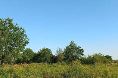 Terrain  60000 €
