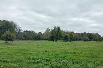 Terrain  30000 €