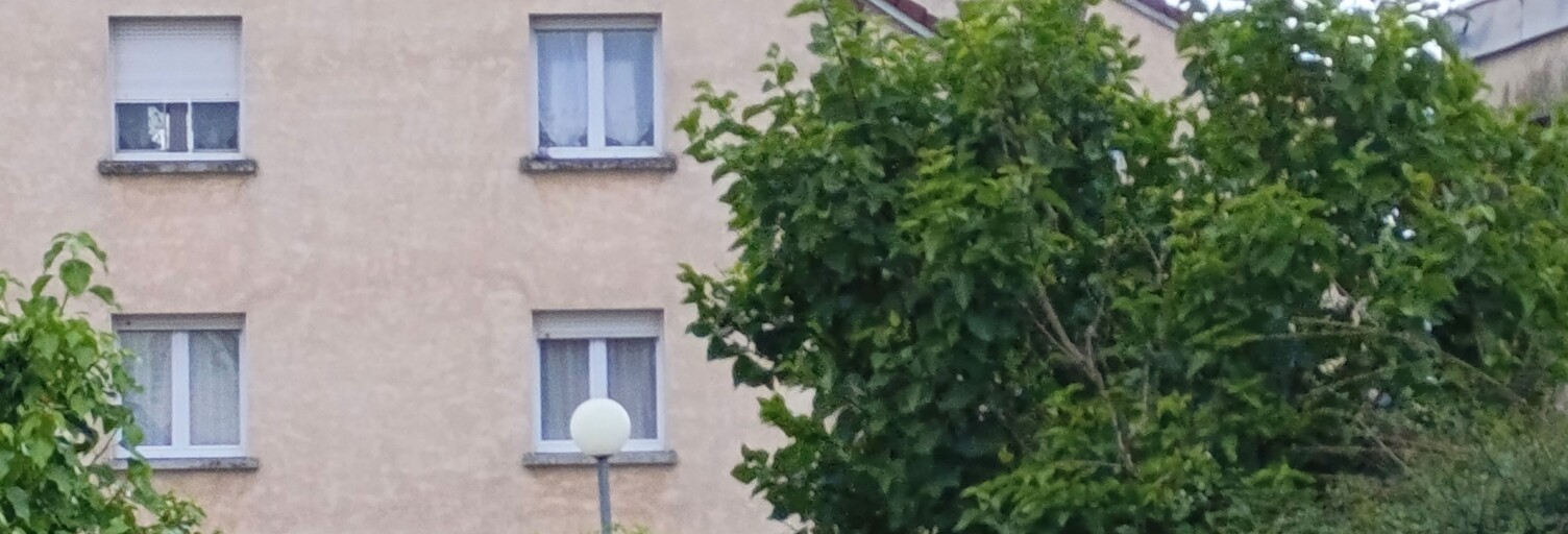 Maison 2 Pièces 57 m² à vendre à Saint-Dizier (52100)