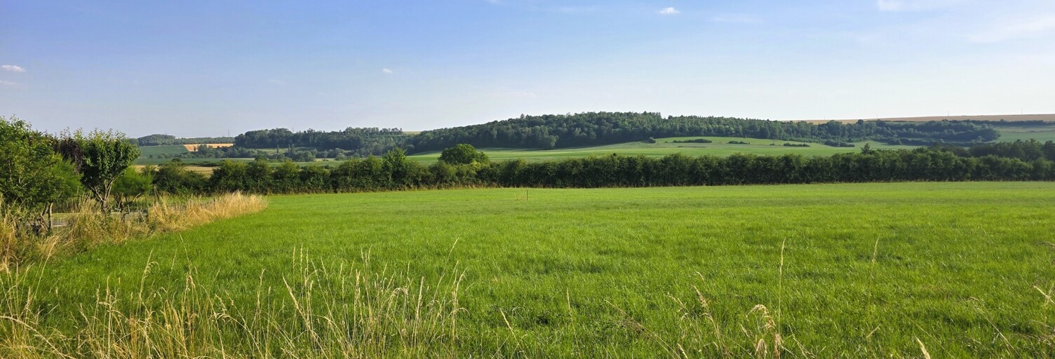 Terrain  1589 m² à vendre à Saint-Jean-lès-Longuyon (54260)