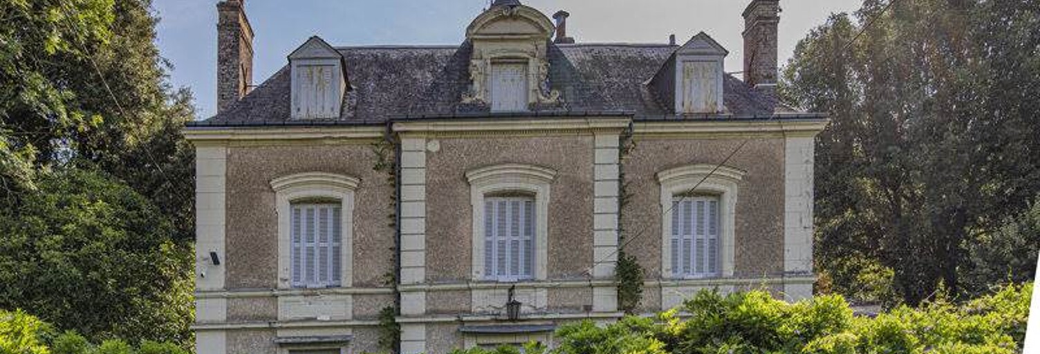 Maison 8 Pièces 300 m² à vendre à Pocé-sur-Cisse (37530)