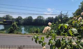 Photo N° 2