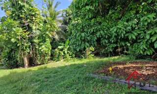 Terrain  3191 m² à vendre à Petit-Bourg (97170)