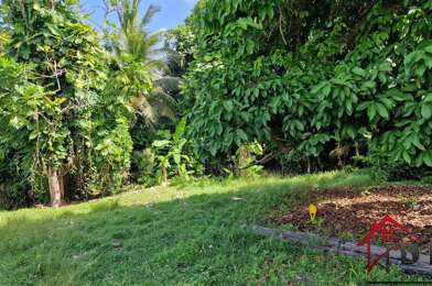 Terrain  250000 €