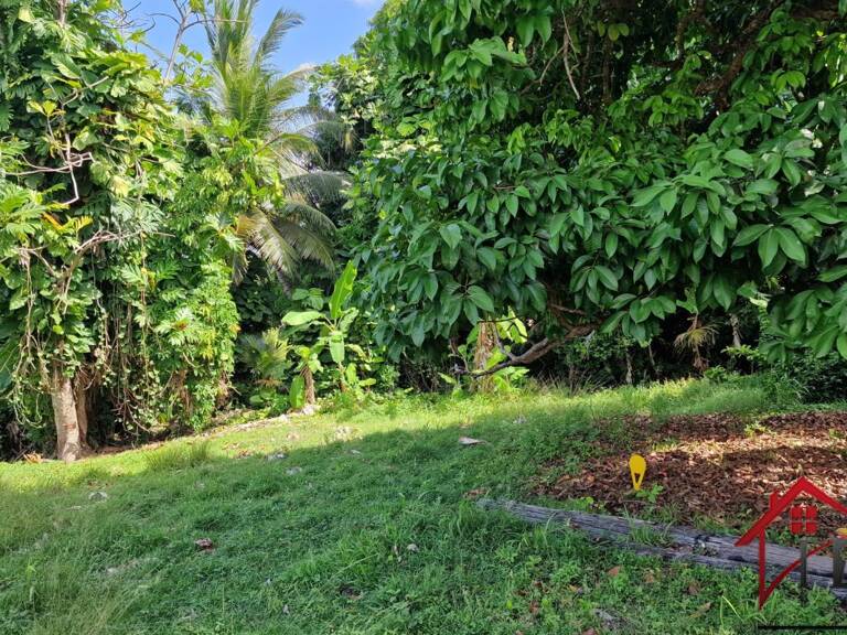 Beau terrain 3 191 m2 — photo 1