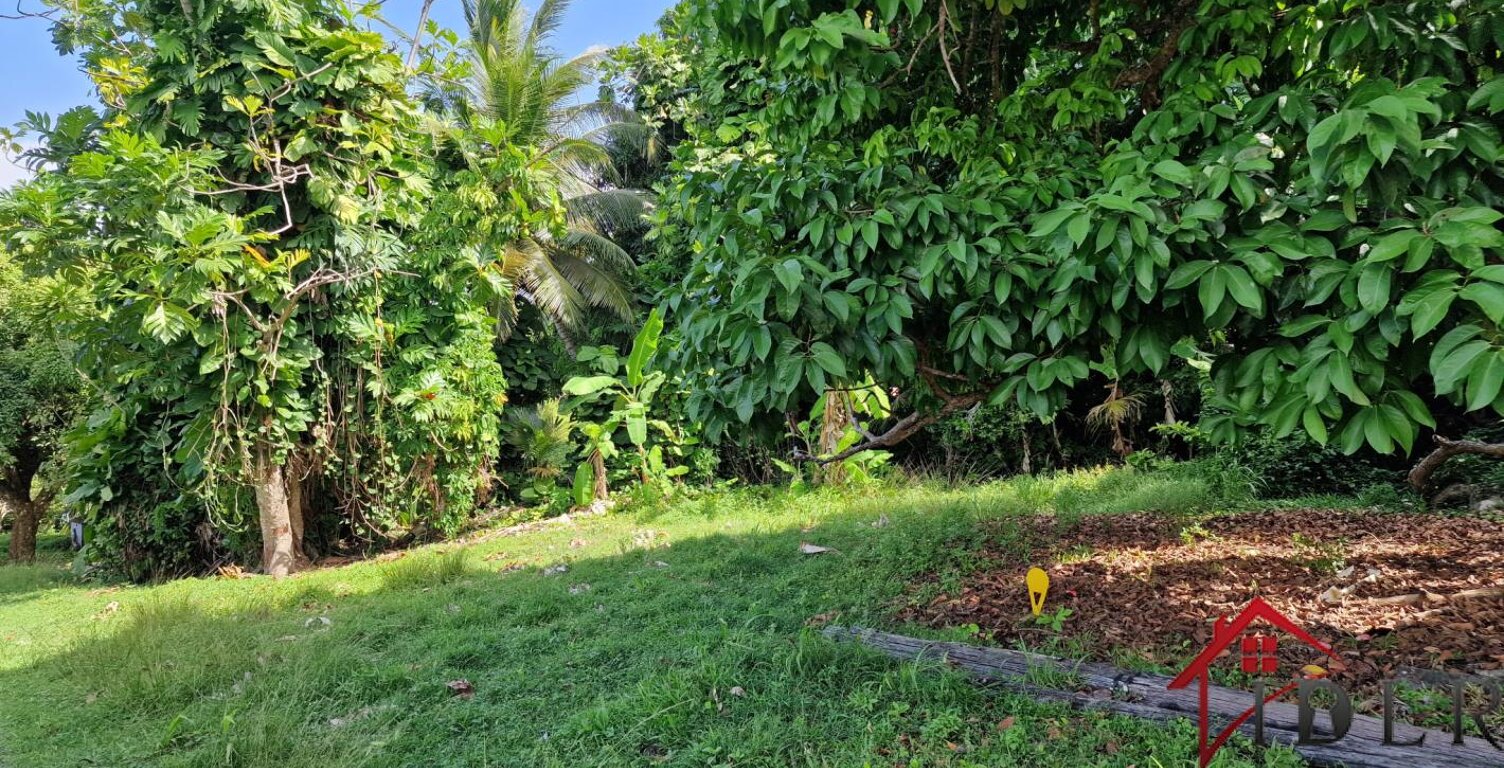 Beau terrain 3 191 m2 — photo 1