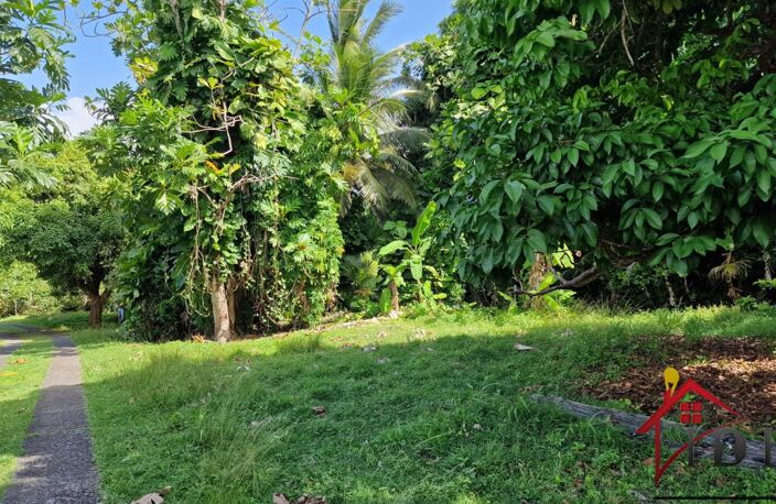 Beau terrain 3 191 m2 — photo 2