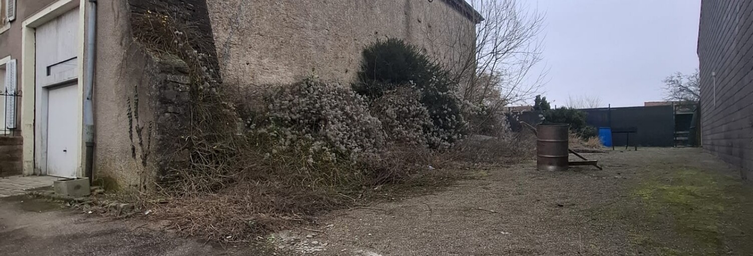 Photo N° 2