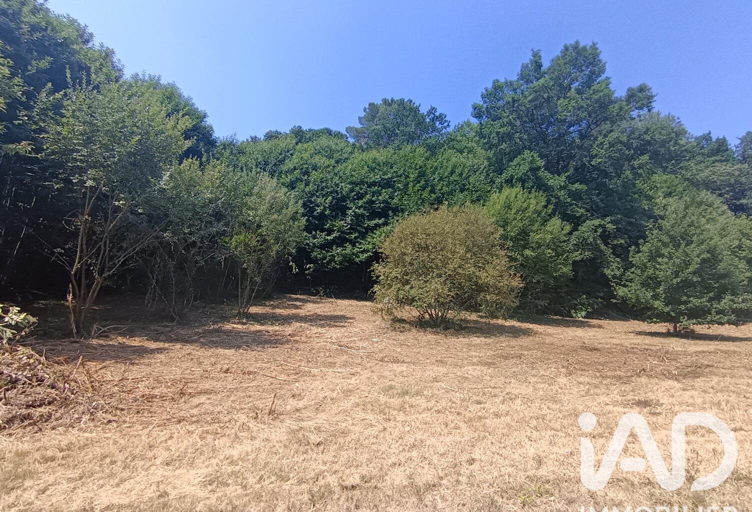 Vente Terrain à bâtir 3 787 m&sup2; — photo 1