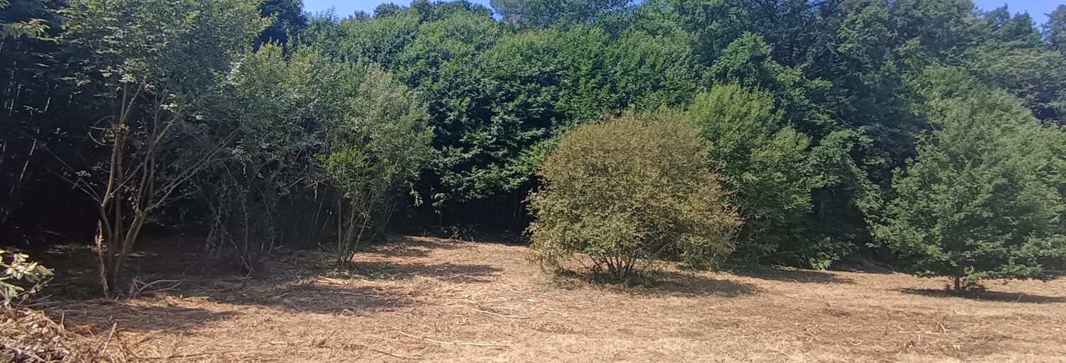 Terrain  3787 m² à vendre à Sarlat-la-Canéda (24200)