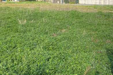 Terrain  265000 €