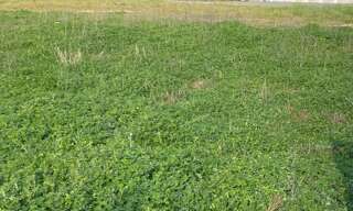 Terrain  900 m² à vendre à Le Taillan-Médoc (33320)