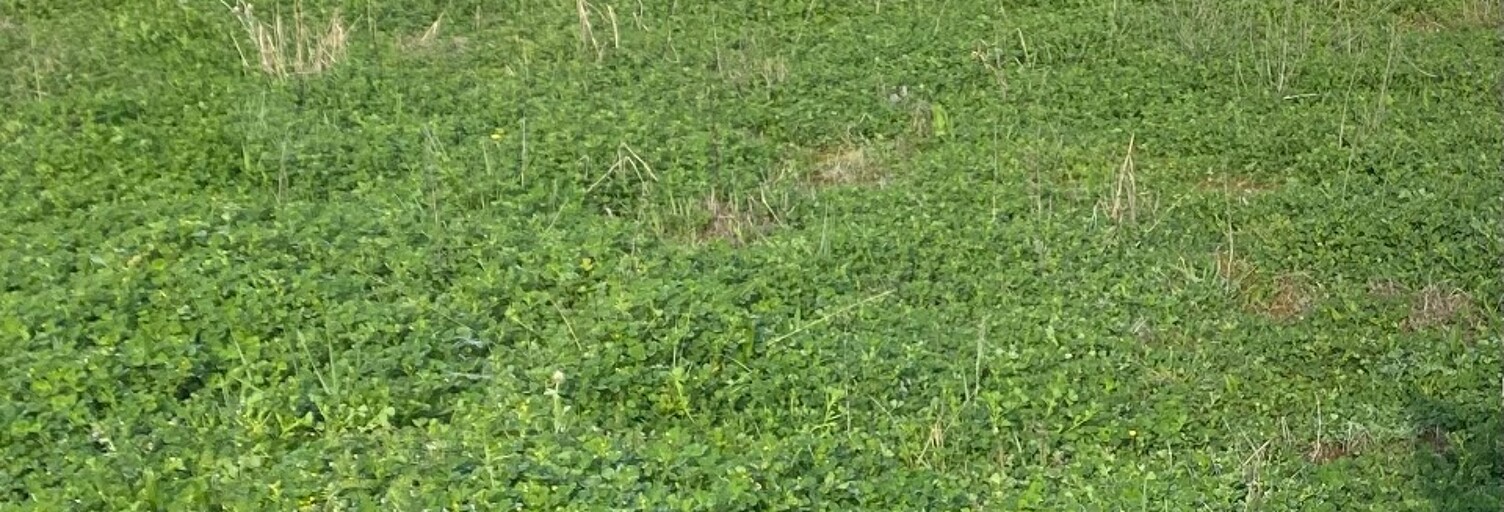 Terrain  900 m² à vendre à Le Taillan-Médoc (33320)