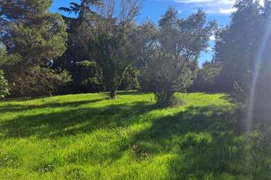 Terrain  150000 €