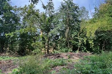 Terrain  966000 €