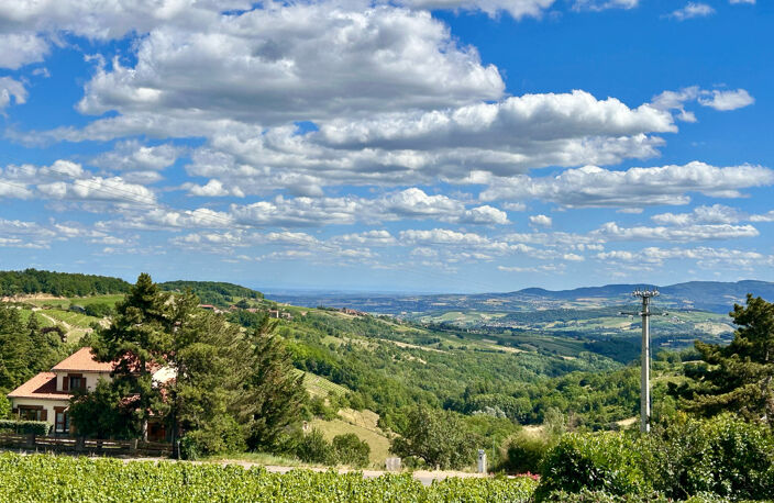 RARE SUR LA COMMUNE DE OINGT :  VUE EXCEPTIONNELLE - CALME A — photo 3