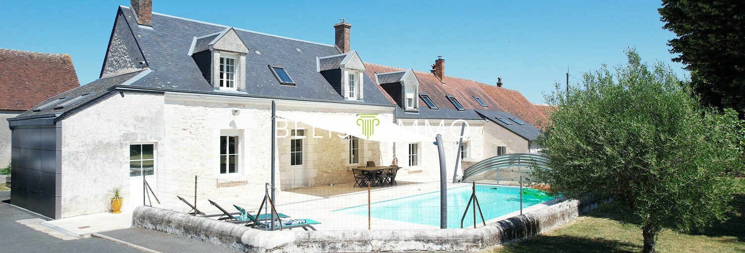 Maison 11 Pièces 265 m² à vendre à Bléré (37150)