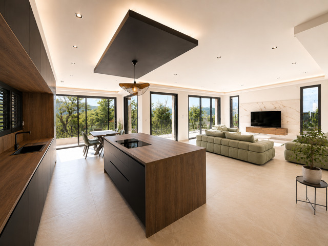 Villa contemporaine de standing, Hauteur de Vienne — photo du bien