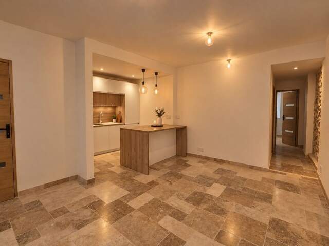 BEL APPARTEMENT T2 CENTRE PORT-VIEUX — photo du bien