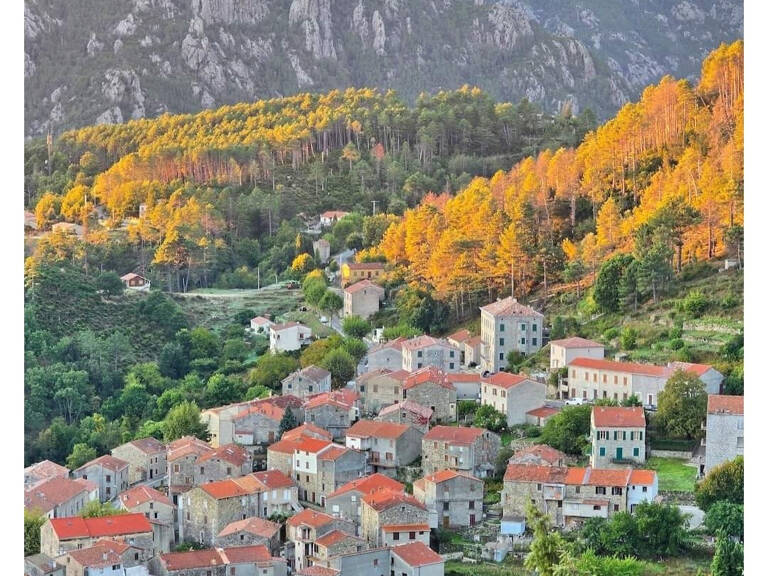 A VENDRE JOLIE MAISON DE VILLAGE A GHISONI — photo 1