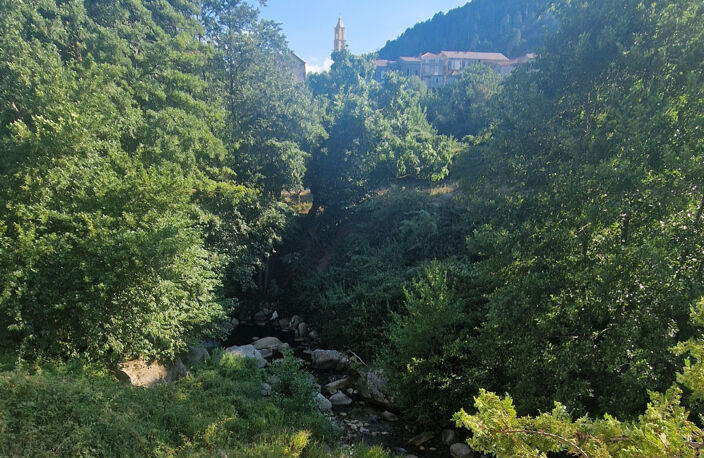 A VENDRE JOLIE MAISON DE VILLAGE A GHISONI — photo 2
