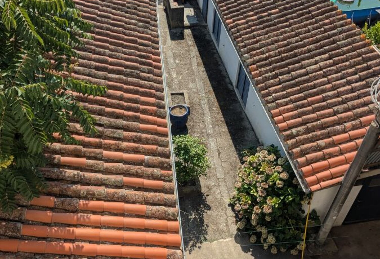 Maison avec cour et dépendances — photo 1