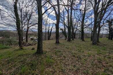 Terrain  242000 €