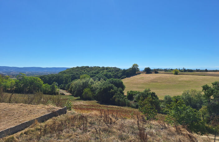 A Vendre Dpt 81 Ferme de caractère rénovée avec deuxième log — photo 4