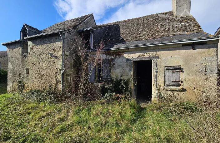 MAISON ET DEPENDANCES 600M2 LIGNIERES DE TOURAINE — photo 3