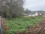 TRES BEAU TERRAIN A BATIR DE 2000 M2 SUR 20 METRES DE FACADE — photo 2