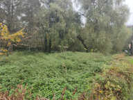 TRES BEAU TERRAIN A BATIR DE 2000 M2 SUR 20 METRES DE FACADE — photo 3