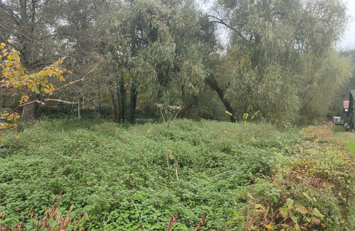 TRES BEAU TERRAIN A BATIR DE 2000 M2 SUR 20 METRES DE FACADE — photo 3