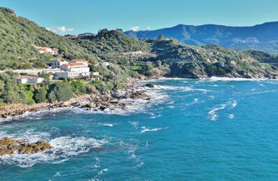 30 minutes d'AJACCIO - Immeuble de 6 appartements pieds dans — photo du bien