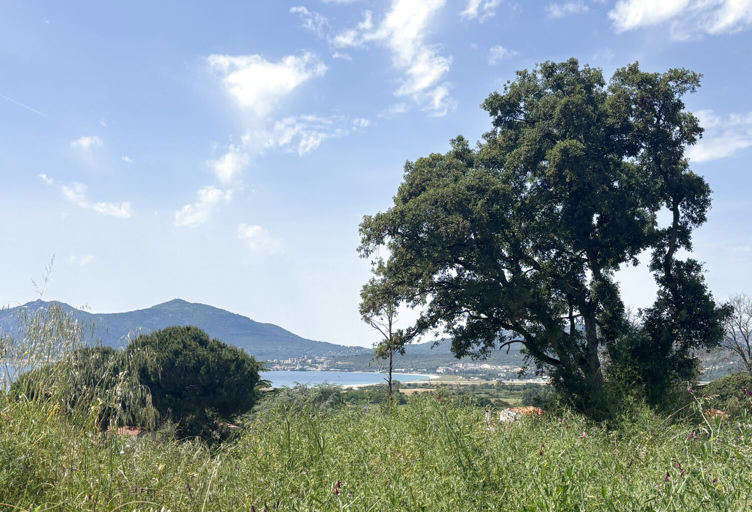 TERRAIN CONSTRUCTIBLE DE 746 M2 VUE MER   PORTICCIO — photo 1