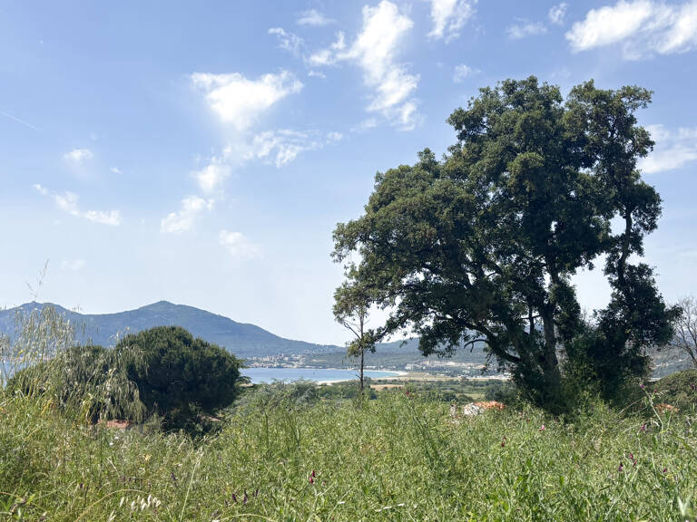 TERRAIN CONSTRUCTIBLE DE 746 M2 VUE MER   PORTICCIO — photo 1