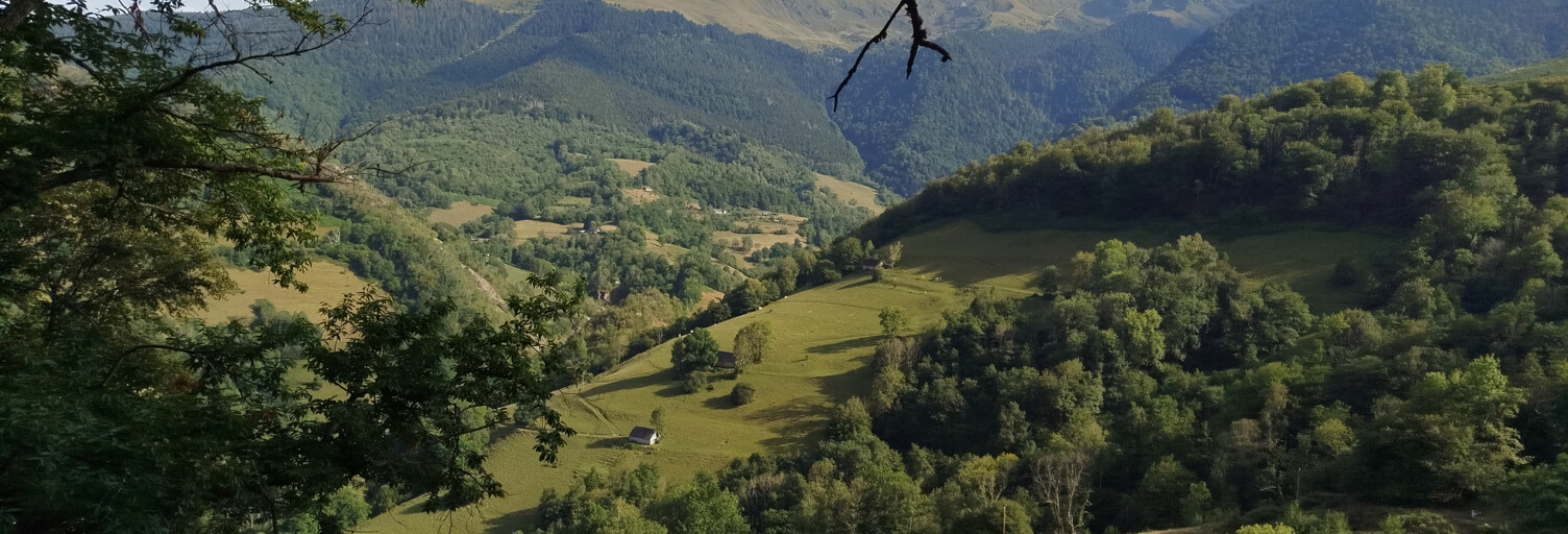 Photo N° 2