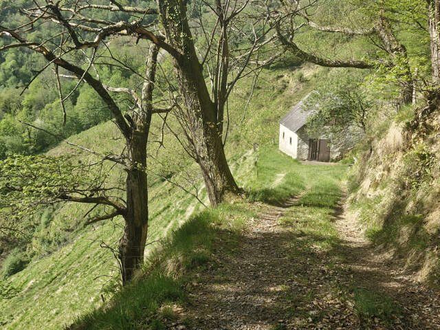 EXCLUSIVITE GRANGE FORAINE — photo du bien