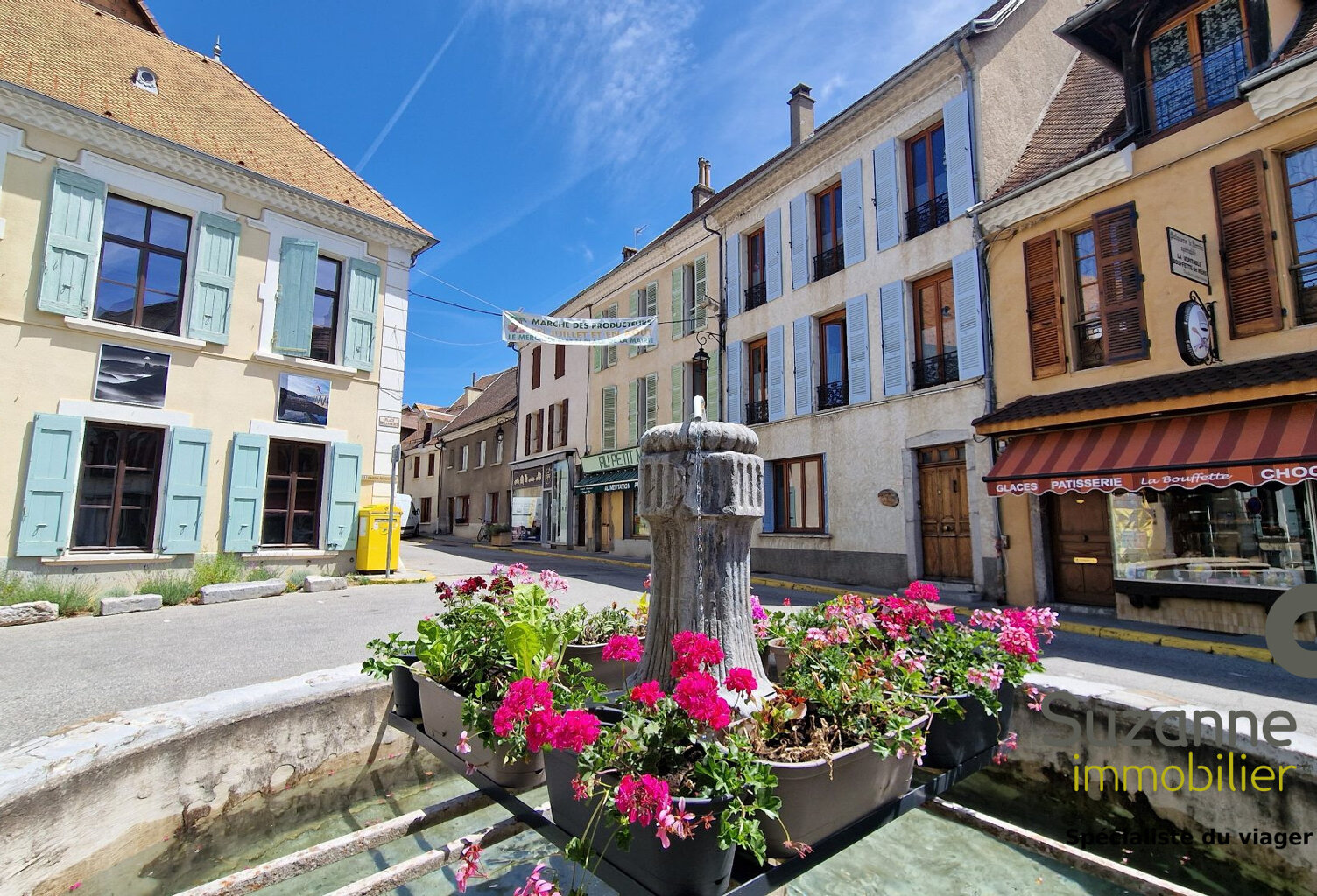 MENS (38710)  Immeuble mixte avec local commercial loué, ter — photo 1