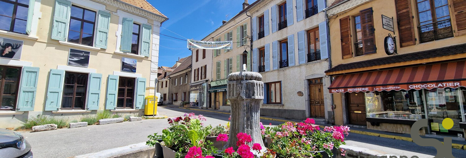 Maison 193 m² en viager Mens (38710)