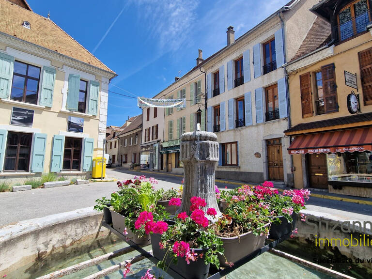 MENS (38710)  Immeuble mixte avec local commercial loué, ter — photo 1