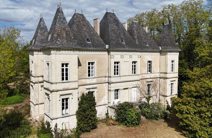 Château 19éme proche de Saumur (49) — photo 2